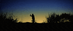 GIF by The Orchard Films