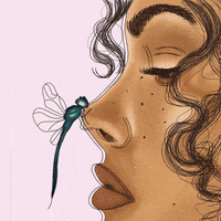 nitimueth summer fly insect close up GIF