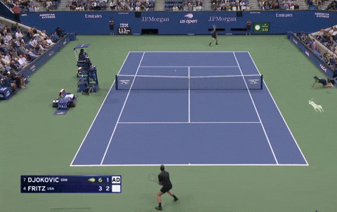 Novak Djokovic forehand vs US Open opponent