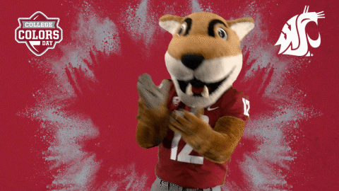 Happy College Sports GIF by College Colors Day