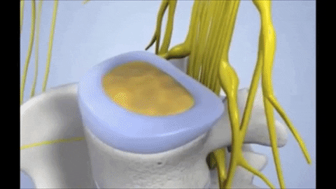 Fannab giphygifmaker GIF