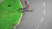 GIF by Sporza