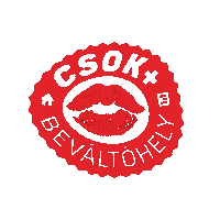 Csok Sticker by TOP3 Ingatlan