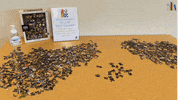GIF by Georgian Court University