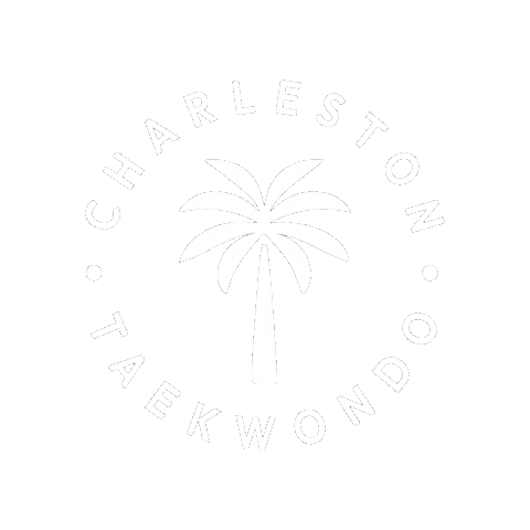 CharlestonTaekwondo giphygifmaker taekwondo charleston charlestontaekwondo Sticker
