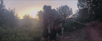 The Sedona Collective GIF by Tiffany
