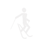 Alpine Skiing Snow Sticker by neveitalia
