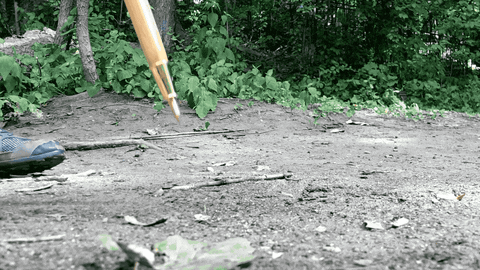 50-campfires giphyupload GIF