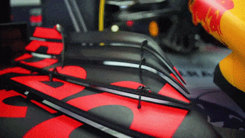 redbullracing 2019 f1 mv driver GIF