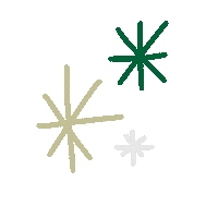 Green And Gold Stars Sticker by CLT Admissions