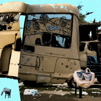 Bg Network GIF by Aleksey Efremov