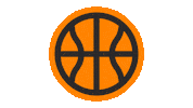 Lady Vols Basketball Sticker by Tennessee Athletics