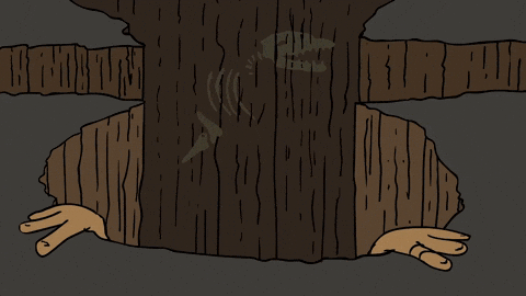 Alfonso Gonzalez Jr GIF by stalebagel