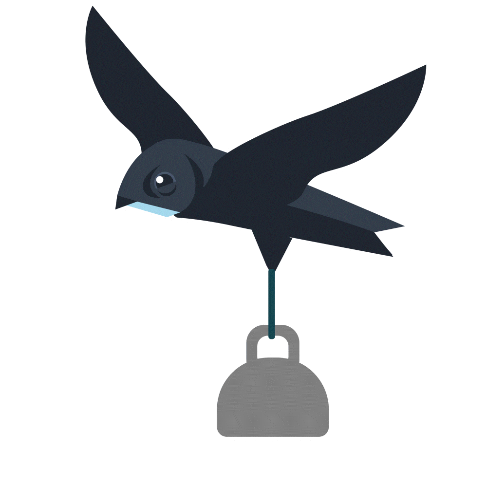 Swift Bird Sticker by RSPB