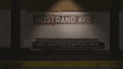 season 1 cats GIF by Animals