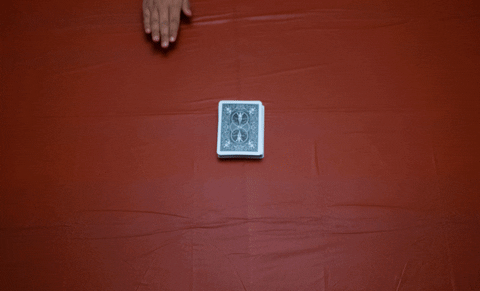 crusader giphyupload stop motion stopmotion sccc GIF