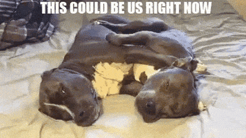 GIF by MOODMAN