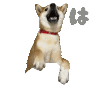 柴犬 Sticker