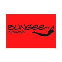 bungeetrainingargentina bungee Sticker