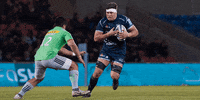 SaleSharks rugby sale sharks salesharks gallagherprem GIF