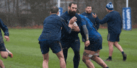 SaleSharks rugby sale sharks salesharks gallagherprem GIF