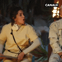 Jonathan Cohen Reaction GIF by CANAL+