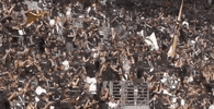 dance fans GIF by Major League Soccer