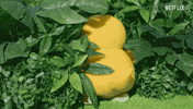 Hide Goodbye GIF by Pokémon