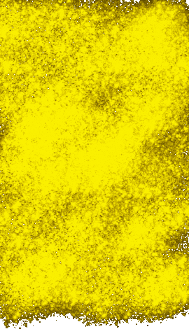 houseof29  GIF