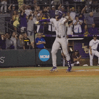 Lets Go Celebration GIF by LSU Tigers