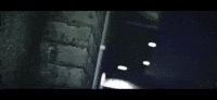Tva Gta Rp GIF