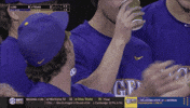 College Sports Celebration GIF by LSU Tigers