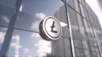 Crypto Cryptocurrency GIF by Litecoin
