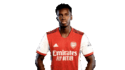 Celebrate London Sticker by Arsenal