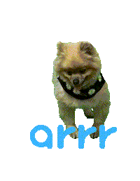 아르르 Sticker by arrr_official