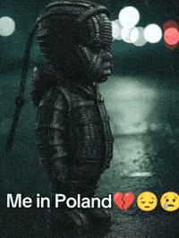 Japan Poland GIF