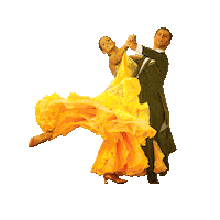 Ballroom Dancing Love Dance Sticker by harizma