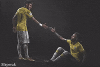 World Cup Fan GIF