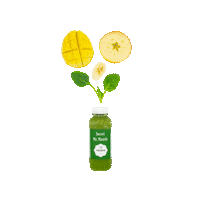 voedjegoed juice detox sap stayhealthy Sticker