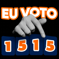 Politica Eu Voto GIF by MDBNacional