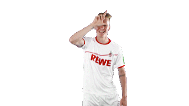 soccer celebration Sticker by 1. FC Köln