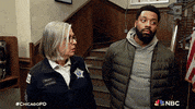 Episode 11 Nbc GIF by One Chicago