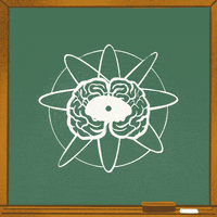 Stay Home Donald Trump GIF by Creative Courage