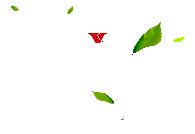 ervamatevier giphyupload mate boa tarde vier Sticker