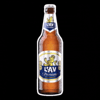 GIF by Lav Pivo