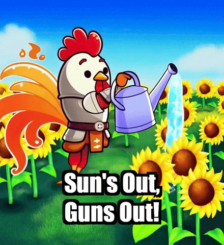 Summer Sunshine GIF by Zorooster