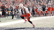 university of miami touchdown GIF by Miami Hurricanes