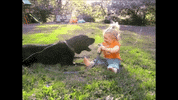 dog GIF by JustViral.Net