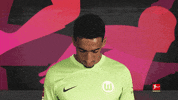 Vfl Wolfsburg Football GIF by Bundesliga