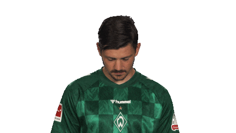 Look Up Werder Bremen Sticker by Bundesliga